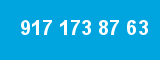 917 173 87 63 917 173 87 63